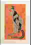 Kangaroo